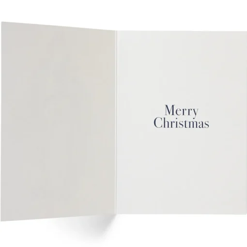 Dürer: Virgin on the Crescent Fine Holiday Cards with Lined Envelopes and Foil Seals*The Met Store Clearance