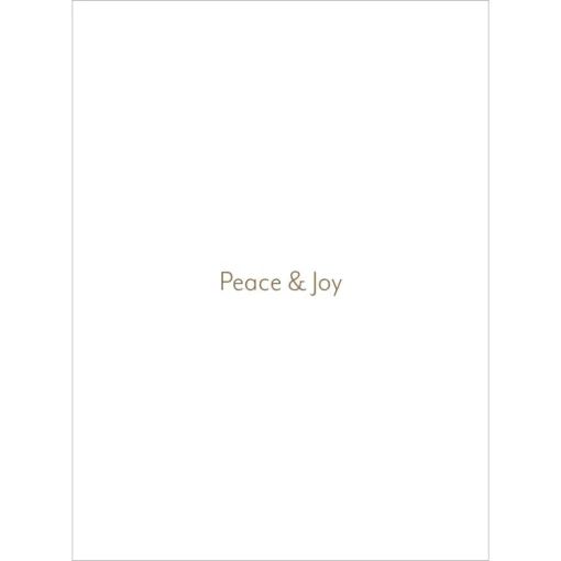 Earle: Blue Doves of Peace Holiday Cards*The Met Store New