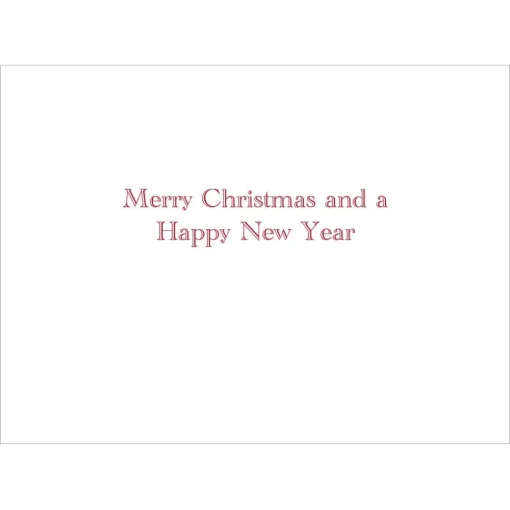 Gordon: Santa at Mailbox Holiday Cards*The Met Store Fashion
