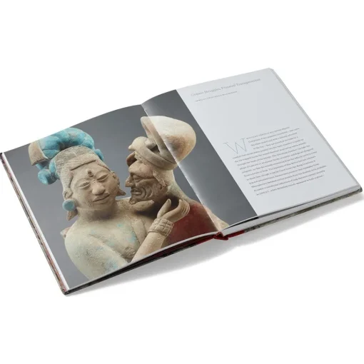Lives of the Gods: Divinity in Maya Art*The Met Store Cheap