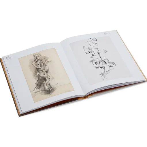 Picasso: A Cubist Commission in Brooklyn*The Met Store Store