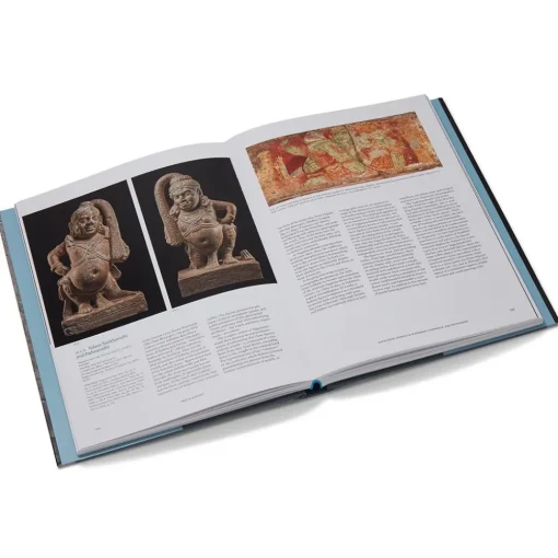 Tree & Serpent: Early Buddhist Art in India*The Met Store Outlet